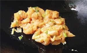 Kung-paoチキン（トマトパッチの非難）練習対策14