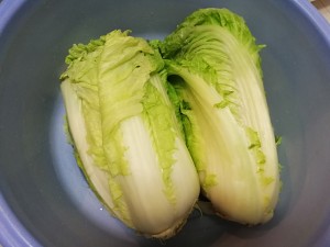 The practice measure of northeast pickled Chinese cabbage 3