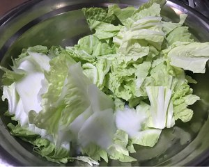 The practice measure of Chinese cabbage agaric 3