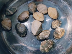 The practice measure of a thick soup of beautiful clam egg 1