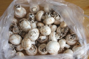 "Bright " dish of beautiful simple quick worker -- the practice measure that element fries bright a kind of dried mushroom 1