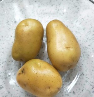 Scamper potato piece practice measure 1