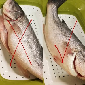 蒸し鮮魚、完璧なチュートリアル2の実践尺度