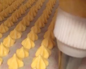 お菓子の手入れをせずに豆を溶かす豆を溶かすのをやめる〜ダーリンのヨーグルトを溶かす豆の溶け込み〜 フルーツフレーバー14 
