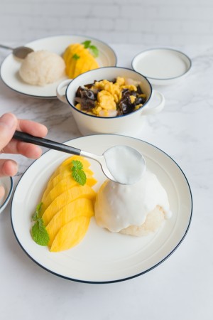 The practice measure of meal of super and simple sweet mango of domestic edition coco 7