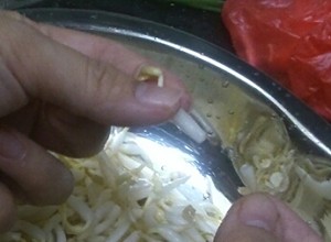 清王朝が豆もやし1