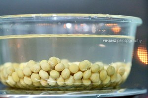 Abstain soya bean of fried bean curd - soya-bean milk - the beans is beautiful - bean curd - the evolve practice measure of fried bean curd 1