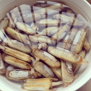 Explode the practice measure that fries razor clam 1