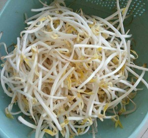 The practice measure of the vermicelli made from bean starch that include course 5
