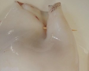 The squid that has intention most - squid of wine of rice of polished glutinous rice is delicious want suck to finger! practice measure 5