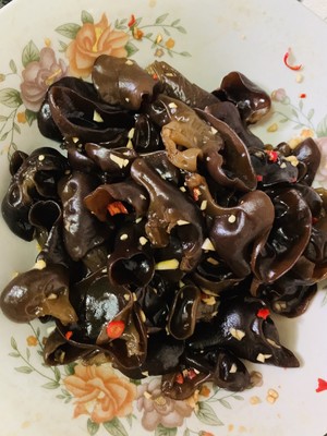 食用菌の食欲をそそる3ペースの学習方法4