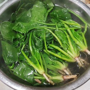 Spinach of cold and dressed with sause of vermicelli made from bean starch, 