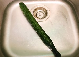 The practice measure that emerald cucumber coils 2