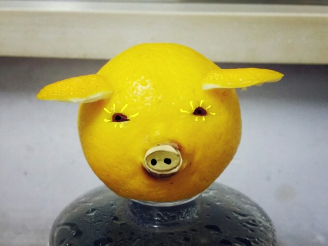 豚を得る古代のレモン！ 練習、おいしい方法