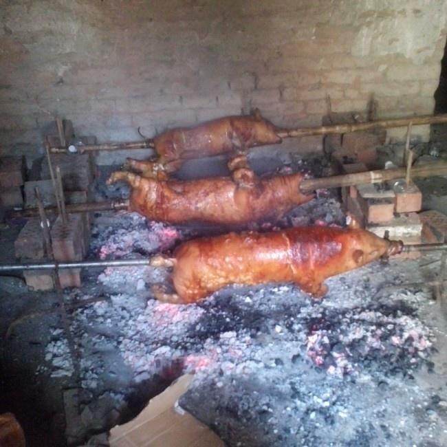 焼くプラテンの豚の練習、焼くプラテンの豚はいかがですか