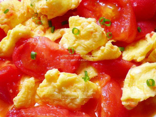 トマトは卵の練習を揚げる、トマトは卵を揚げるおいしい方法