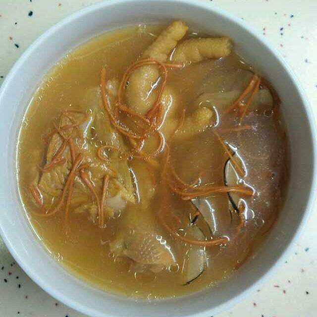 海洋ココの中国の毛虫の菌はバオ豚が広がる方法を使います
