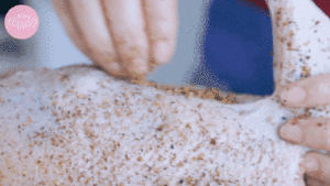 The practice measure of chicken of hemp of any of several hot spice plants 3