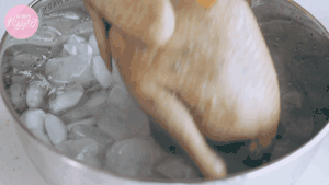 The practice measure of chicken of hemp of any of several hot spice plants 9