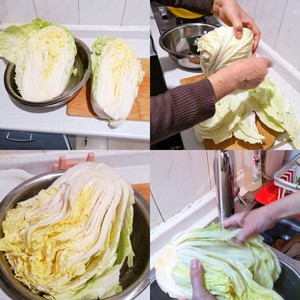 Abstain hot Chinese cabbage (dawdler edition) practice measure 1
