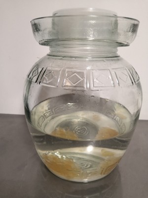 ピクルス3の練習尺度