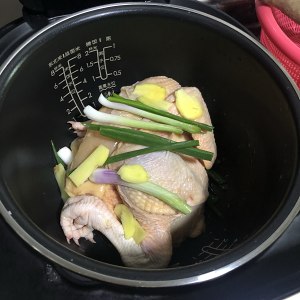 Saline    hand rips chicken (edition of electric rice cooker) practice measure 5