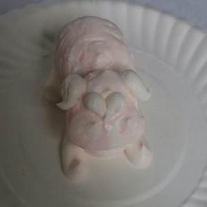 酪農の美しいブタの練習対策6 