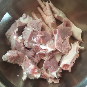 ダーリングブタは脊椎1