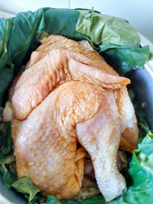 The practice measure of chicken of polished glutinous rice of lotus leaf of edition of electric meal Bao 1