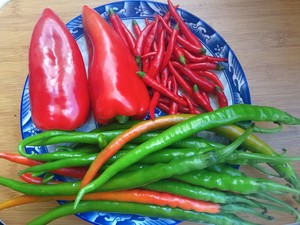 The practice measure that contains pepper sauce recipe 20 years 1