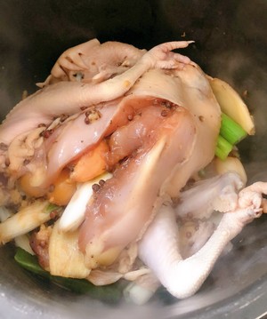The practice measure of saline    chicken 6