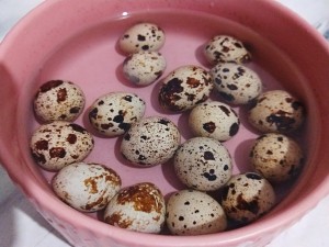 The practice measure of egg of quail of sweet-and-sour tiger skin 2