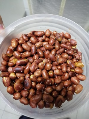 子供の宮殿が子5を守る練習の動きを食べるのが好きではない