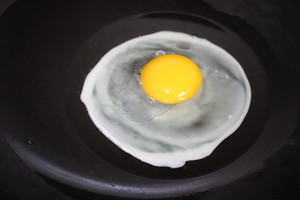 The meal suffers disaster series---The practice measure that chop any of several hot spice plants scrambles egg 4