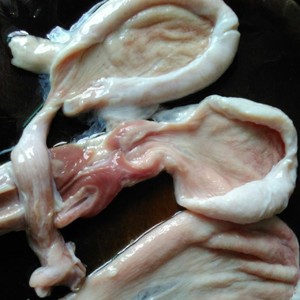 Pig little stomach stews peppery practice measure 1