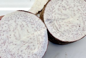 バラの発酵豆腐のタロイモが肉12を割引する練習移動