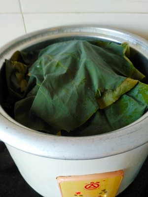 The practice measure of chicken of polished glutinous rice of lotus leaf of edition of electric meal Bao 7