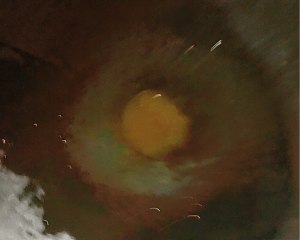 (simple and easy 0 failure edition) delicate the practice measure of yellow stew chicken 10