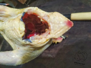 The practice measure of the lotus leaf chicken of simple faint scent 3