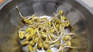 The sends bean sprouts skill practice measure that the pig meets 7