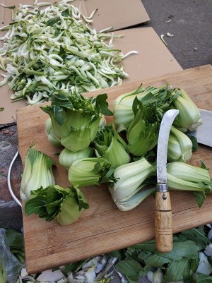 Cupreous hill special local product is popular the practice measure of dish of hot food go with rice 2