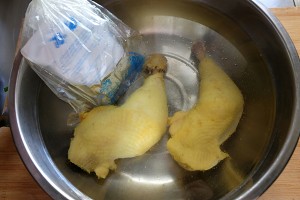 The practice measure of deadly saliva chicken 4