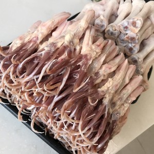 Inapproachable chicken of good taste bittern... ox... pig... the practice measure of duck 1