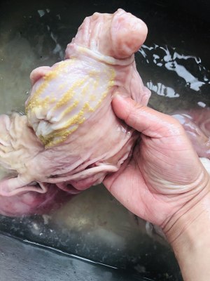 The practice measure of chaffy dish of chicken of abdomen of detailed edition pig 3
