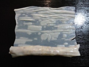 豚の腸のピンク8