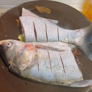 日常の銀carの魚の醤油煮込み魚の練習対策 煮込んだ家族の4 