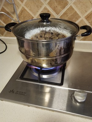 過度の内部熱に苦しむ気味の良いチーの蒸散の実地測定5
