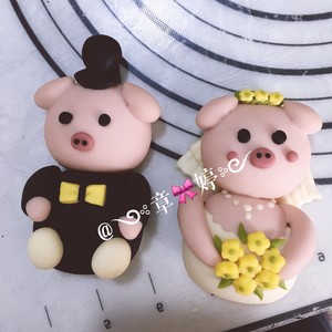 Pig of steamed bread edition -- marry the practice measure of love 13