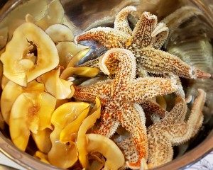 ヒトデにんじんの豚の軟らかいスープ2の練習対策