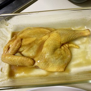 Saline    chicken -- the practice measure of edition of cast-iron boiler anhydrous 5